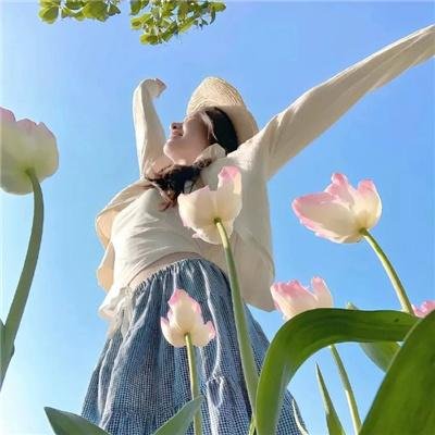 我的英雄学院：英雄崛起